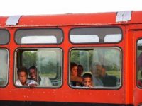 Kinder im Bus