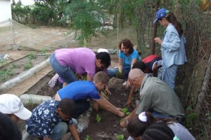 Schulgarten Consulación gemiensam wird gepflanzt